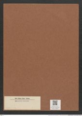 Diatomeae indet. (de-Toni-Nr.: Species 2676 ? var. ?) Zeichnungen Sammlung Grunow Mappe 02894 (Herbarium_W_Grunow_drawings_Folder_02894)